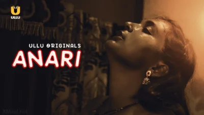 Anari Web Series Poster
