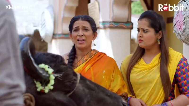 Thumbnail No 15 from Bhais Ki Vidai Episode 1.