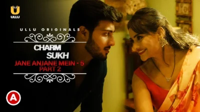 Jane Anjane Mein S5 Web Series Poster